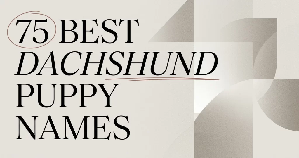 75 Best Dachshund Puppy Names for Your New Doxie